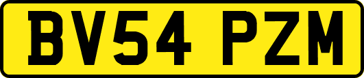 BV54PZM