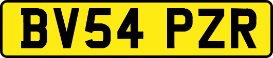 BV54PZR