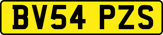 BV54PZS