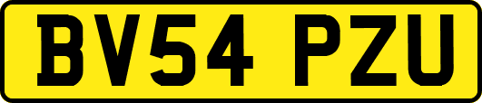 BV54PZU