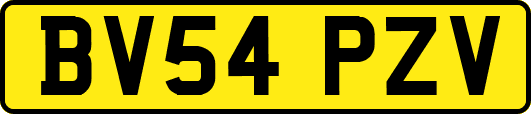BV54PZV