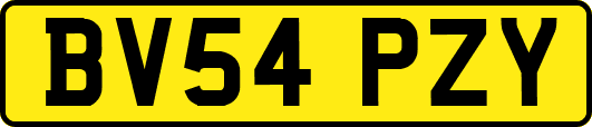 BV54PZY
