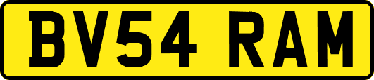 BV54RAM