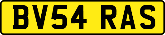 BV54RAS