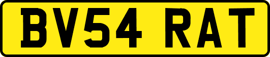BV54RAT