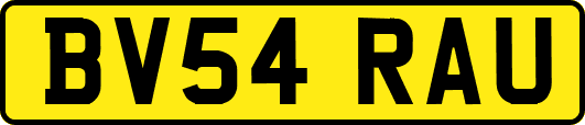 BV54RAU