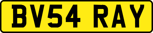 BV54RAY