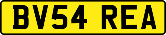 BV54REA