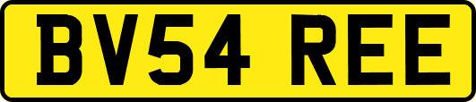 BV54REE