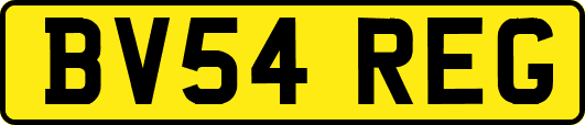 BV54REG