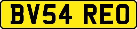 BV54REO