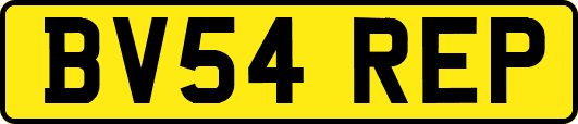 BV54REP