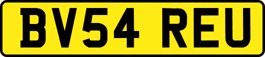 BV54REU