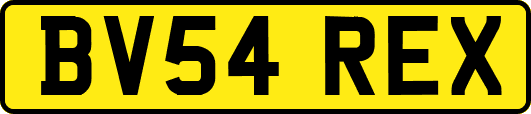 BV54REX