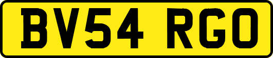 BV54RGO