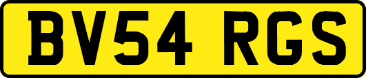 BV54RGS