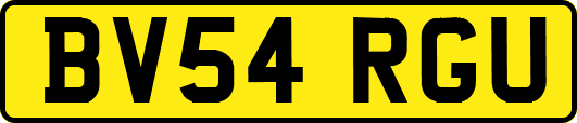 BV54RGU