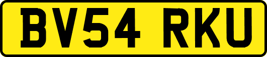 BV54RKU