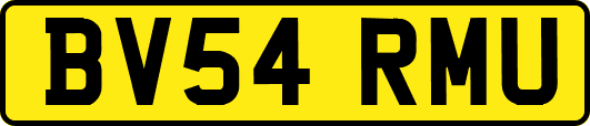 BV54RMU