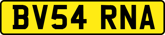 BV54RNA
