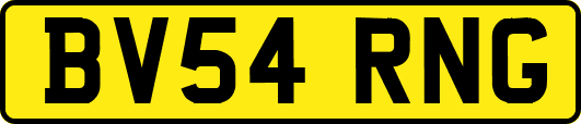BV54RNG