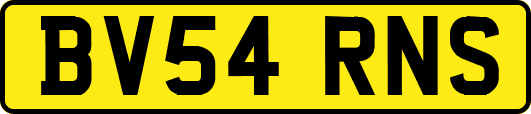BV54RNS