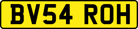 BV54ROH