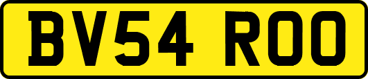 BV54ROO