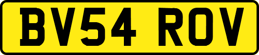 BV54ROV