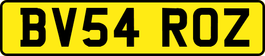 BV54ROZ