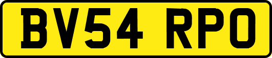 BV54RPO