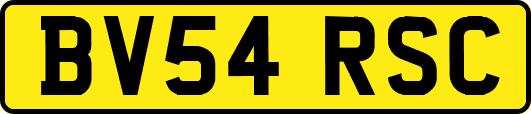 BV54RSC