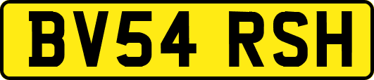 BV54RSH