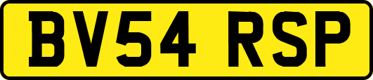 BV54RSP