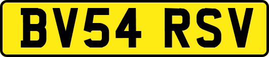 BV54RSV