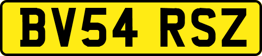 BV54RSZ