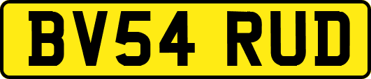 BV54RUD