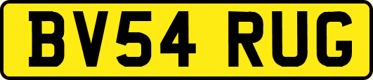 BV54RUG