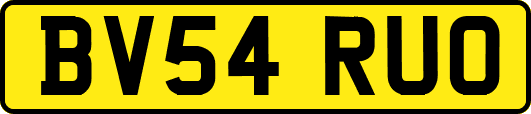 BV54RUO