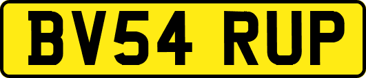BV54RUP