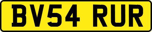 BV54RUR