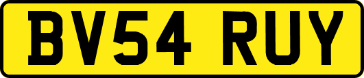 BV54RUY