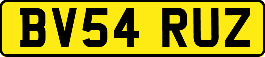 BV54RUZ