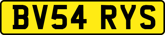 BV54RYS