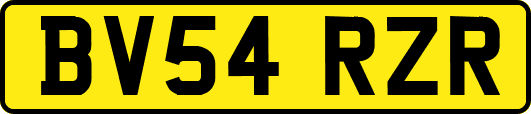 BV54RZR