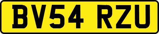 BV54RZU