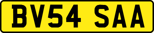 BV54SAA