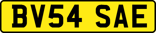 BV54SAE