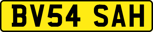 BV54SAH