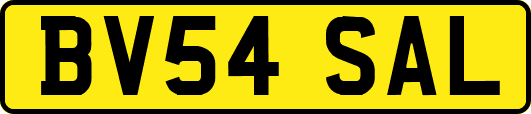 BV54SAL